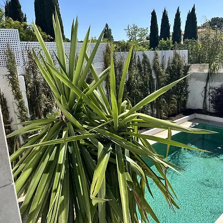 Semesterbostad Sunshine Sleeps 6 Parking Azeitao